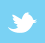 Twitter Icon
